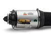 Luftfederbein vorne links Arnott AS-2893 Bild Luftfederbein vorne links Arnott AS-2893