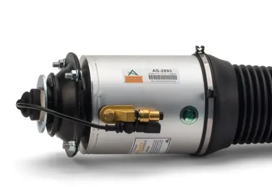 Luftfederbein vorne links Arnott AS-2893 Bild Luftfederbein vorne links Arnott AS-2893