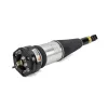 Luftfederbein vorne Arnott AS-2894 Bild Luftfederbein vorne Arnott AS-2894