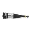Luftfederbein vorne Arnott AS-2894 Bild Luftfederbein vorne Arnott AS-2894