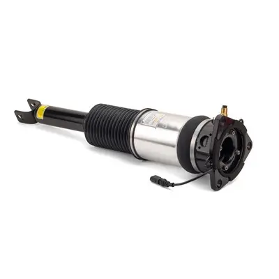 Luftfederbein hinten links Arnott AS-2966 Bild Luftfederbein hinten links Arnott AS-2966