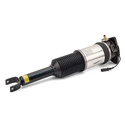 Luftfederbein hinten links Arnott AS-2966 Bild Luftfederbein hinten links Arnott AS-2966