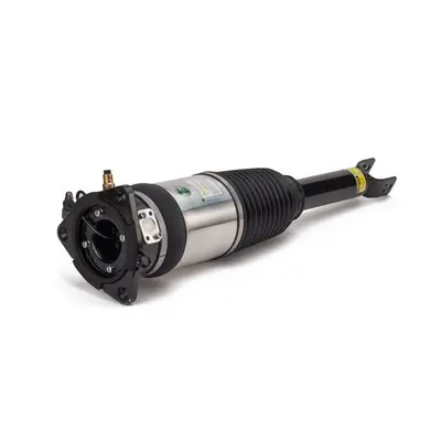 Luftfederbein hinten links Arnott AS-2969 Bild Luftfederbein hinten links Arnott AS-2969