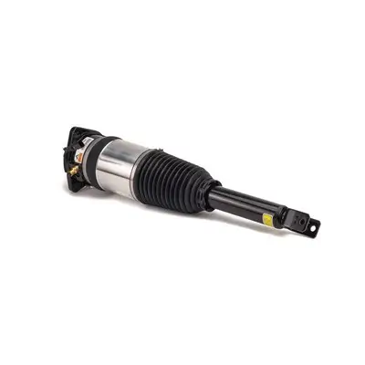Luftfederbein hinten links Arnott AS-2969 Bild Luftfederbein hinten links Arnott AS-2969