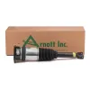 Luftfederbein hinten links Arnott AS-2969 Bild Luftfederbein hinten links Arnott AS-2969