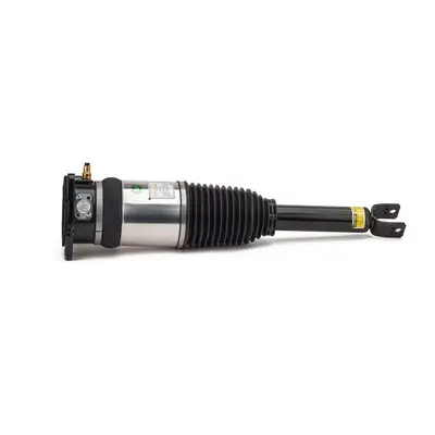 Luftfederbein hinten links Arnott AS-2969 Bild Luftfederbein hinten links Arnott AS-2969