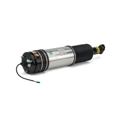 Luftfederbein hinten links Arnott AS-2979 Bild Luftfederbein hinten links Arnott AS-2979