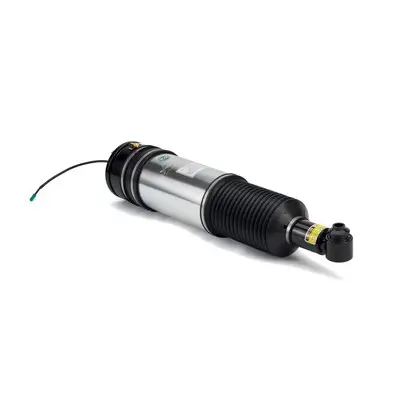 Luftfederbein hinten links Arnott AS-2979 Bild Luftfederbein hinten links Arnott AS-2979