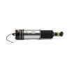 Luftfederbein hinten links Arnott AS-2979 Bild Luftfederbein hinten links Arnott AS-2979