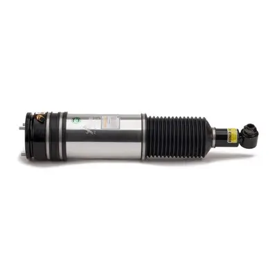 Luftfederbein hinten links Arnott AS-2981 Bild Luftfederbein hinten links Arnott AS-2981