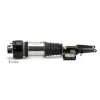 Luftfederbein Vorderachse links Arnott AS-3001 Bild Luftfederbein Vorderachse links Arnott AS-3001