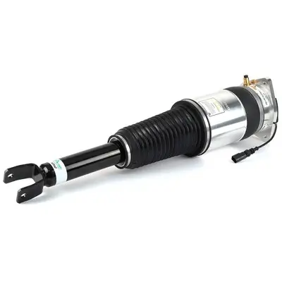 Luftfederbein hinten links Arnott AS-3031 Bild Luftfederbein hinten links Arnott AS-3031