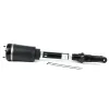 Luftfederbein vorne Arnott AS-3058 Bild Luftfederbein vorne Arnott AS-3058