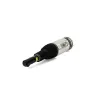 Luftfederbein vorne links Arnott AS-3068 Bild Luftfederbein vorne links Arnott AS-3068