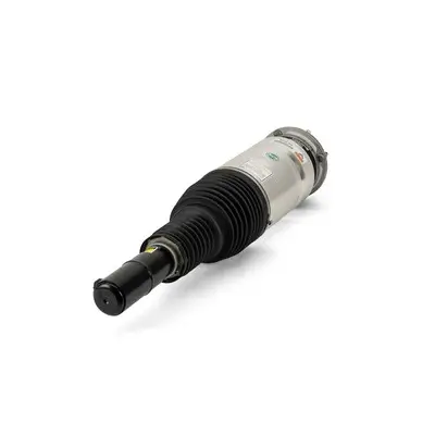Luftfederbein vorne links Arnott AS-3070 Bild Luftfederbein vorne links Arnott AS-3070
