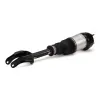 Luftfederbein vorne links Arnott AS-3086 Bild Luftfederbein vorne links Arnott AS-3086