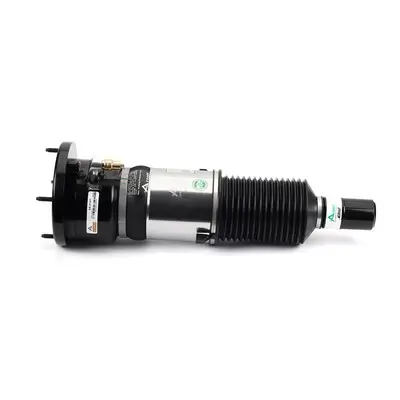 Luftfederbein vorne Arnott AS-3123 Bild Luftfederbein vorne Arnott AS-3123