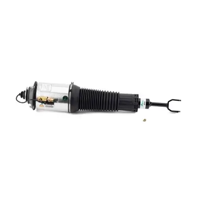 Luftfederbein vorne links Arnott AS-3128 Bild Luftfederbein vorne links Arnott AS-3128