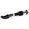 Luftfederbein vorne links Arnott AS-3154 Bild Luftfederbein vorne links Arnott AS-3154