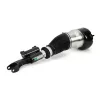 Luftfederbein vorne links Arnott AS-3161 Bild Luftfederbein vorne links Arnott AS-3161