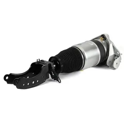 Luftfederbein vorne links Arnott AS-3165 Bild Luftfederbein vorne links Arnott AS-3165