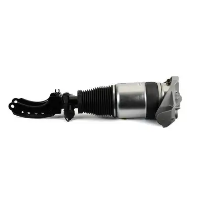 Luftfederbein vorne links Arnott AS-3165 Bild Luftfederbein vorne links Arnott AS-3165