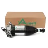 Luftfederbein hinten rechts Arnott AS-3166 Bild Luftfederbein hinten rechts Arnott AS-3166