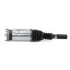 Luftfederbein vorne links Arnott AS-3205 Bild Luftfederbein vorne links Arnott AS-3205