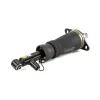 Luftfederbein hinten Arnott AS-3223 Bild Luftfederbein hinten Arnott AS-3223