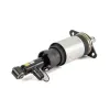 Luftfederbein hinten Arnott AS-3231 Bild Luftfederbein hinten Arnott AS-3231