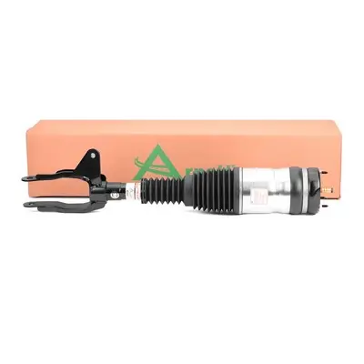 Luftfederbein vorne links Arnott AS-3251 Bild Luftfederbein vorne links Arnott AS-3251