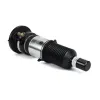 Luftfederbein vorne Arnott AS-3309 Bild Luftfederbein vorne Arnott AS-3309