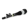 Luftfederbein hinten links Arnott AS-3365 Bild Luftfederbein hinten links Arnott AS-3365