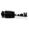 Luftfederbein Vorderachse links Arnott AS-3415 Bild Luftfederbein Vorderachse links Arnott AS-3415