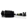 Luftfederbein Vorderachse links Arnott AS-3423 Bild Luftfederbein Vorderachse links Arnott AS-3423
