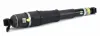 Luftfederbein Hinterachse Arnott AS-3429 Bild Luftfederbein Hinterachse Arnott AS-3429