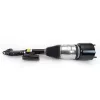 Luftfederbein vorne links Arnott AS-3523 Bild Luftfederbein vorne links Arnott AS-3523