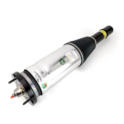 Luftfederbein Vorderachse Arnott AS-3608 Bild Luftfederbein Vorderachse Arnott AS-3608