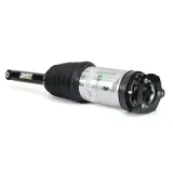 Luftfederbein Hinterachse links Arnott AS-3750