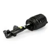 Luftfederbein vorne links Arnott AS-3897 Bild Luftfederbein vorne links Arnott AS-3897