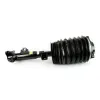 Luftfederbein vorne links Arnott AS-3897 Bild Luftfederbein vorne links Arnott AS-3897