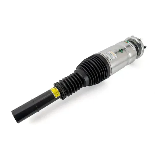 Luftfederbein Vorderachse Arnott AS-5163 Bild Luftfederbein Vorderachse Arnott AS-5163