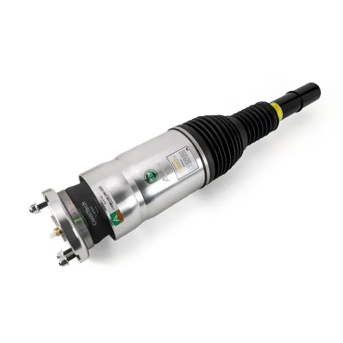 Luftfederbein Vorderachse Arnott AS-5163 Bild Luftfederbein Vorderachse Arnott AS-5163