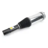 Luftfederbein vorne Arnott ASE-3826