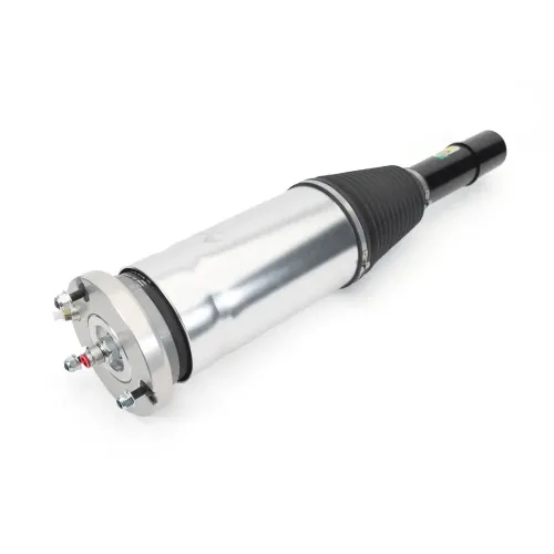 Luftfederbein vorne Arnott ASE-3826 Bild Luftfederbein vorne Arnott ASE-3826