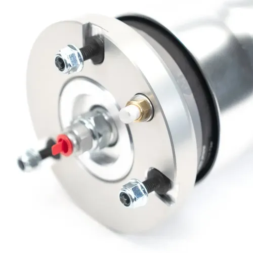Luftfederbein vorne Arnott ASE-3826 Bild Luftfederbein vorne Arnott ASE-3826