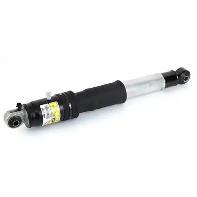 Stoßdämpfer Hinterachse Arnott MR-3436 Bild Stoßdämpfer Hinterachse Arnott MR-3436