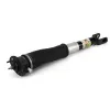 Stoßdämpfer Hinterachse Arnott MR-3442 Bild Stoßdämpfer Hinterachse Arnott MR-3442