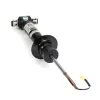 Stoßdämpfer Vorderachse Arnott MR-3839 Bild Stoßdämpfer Vorderachse Arnott MR-3839
