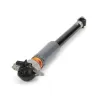 Stoßdämpfer Hinterachse links Arnott MR-3854